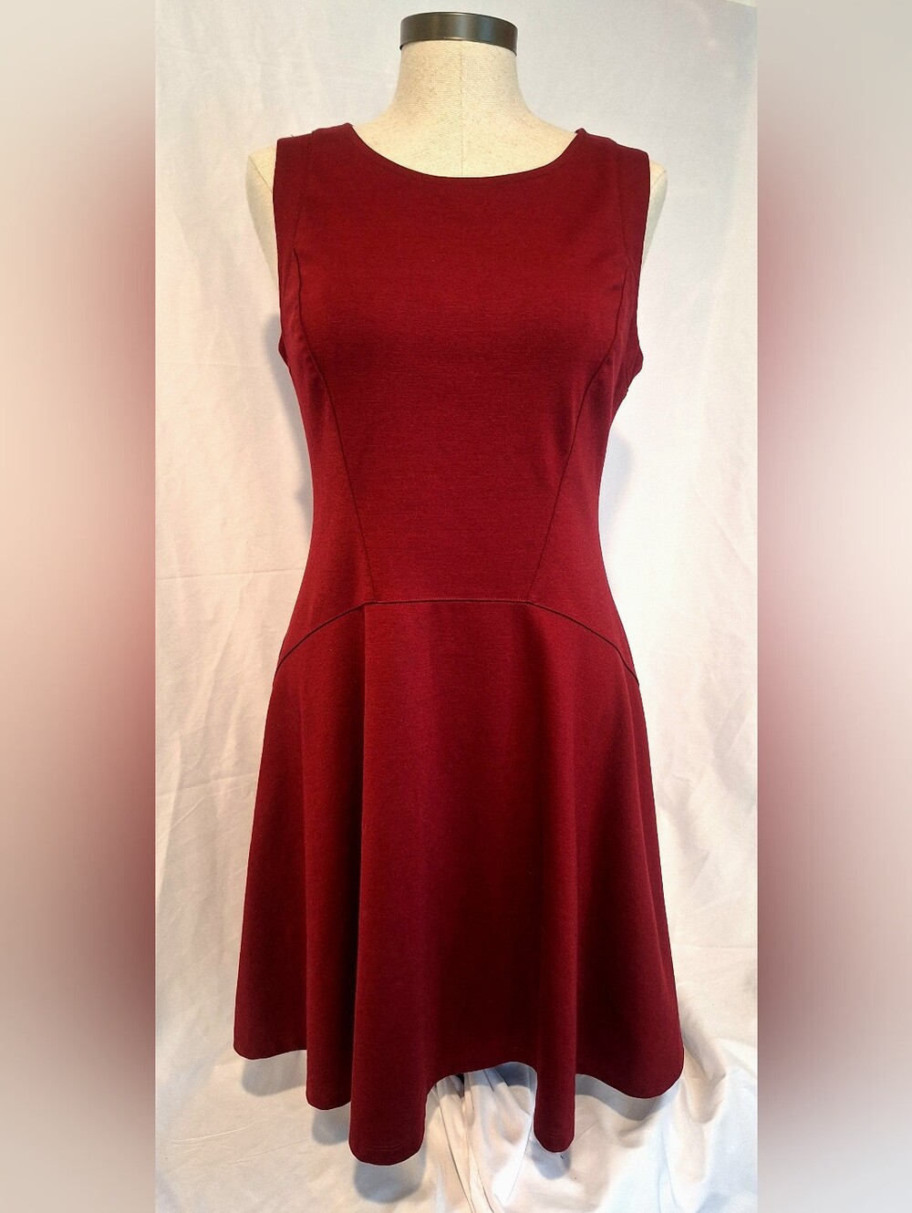 Massimo Sleeveless Burgundy Fit & Flare Mini Dress